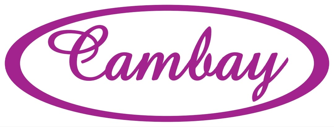 THE CAMBAY INVESTMENT CORPORATION LTD.